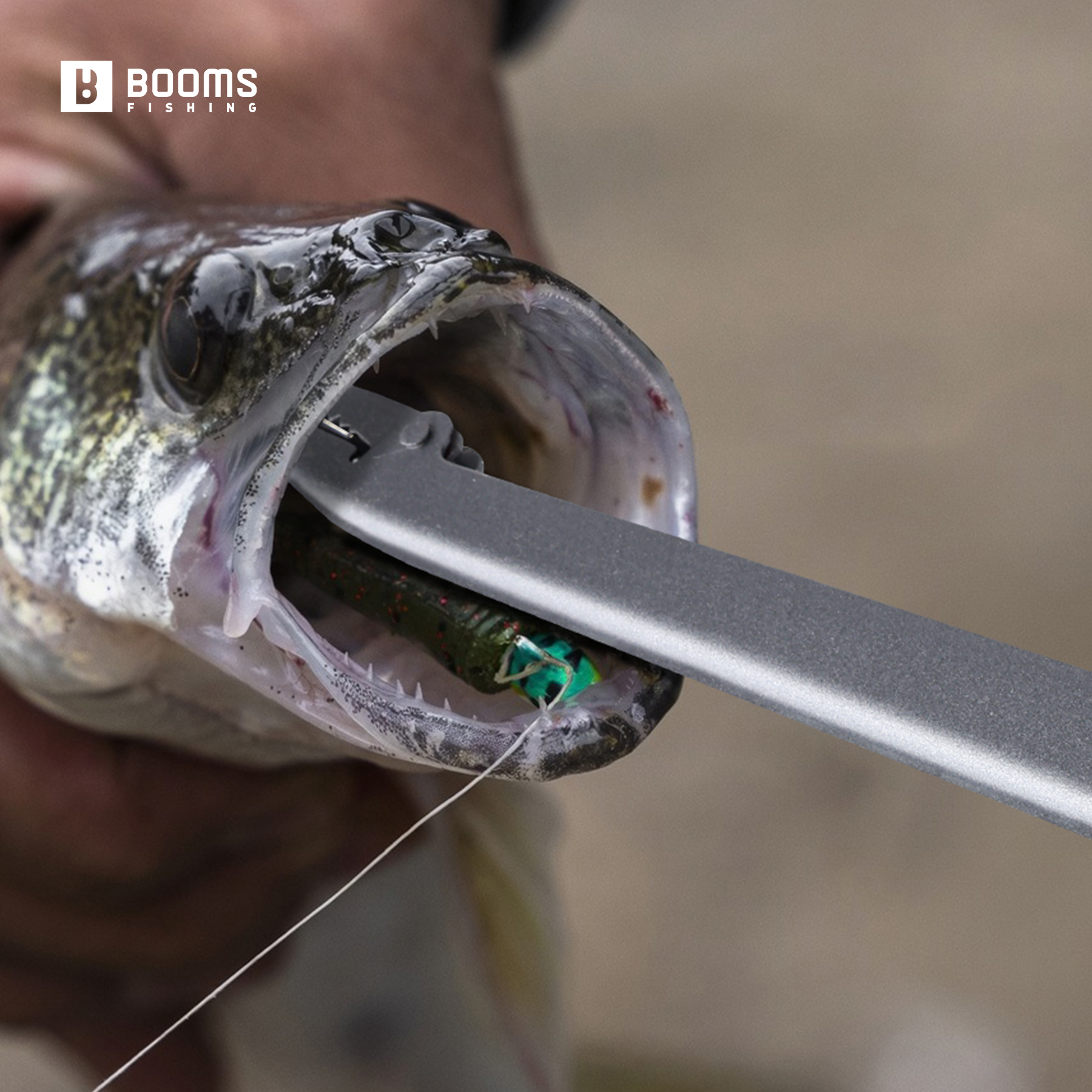 Booms Fishing 25cm Carbon Stee - Fishing Equipment Pictures avaliação e preço